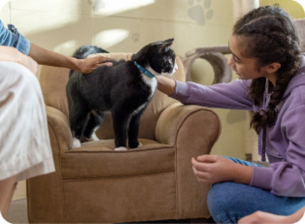 Women stroking a black and white cat
