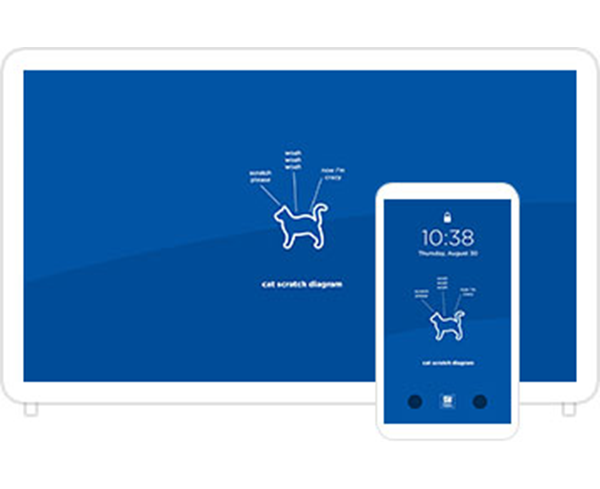 Desktop & mobile example of  "Cat Scratch Diagram" pet wallpaper for phones