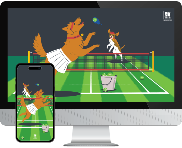 Desktop & mobile example of  "Summer Tennis" pet wallpaper for phones